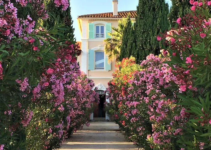 Domaine De L'aufrene Bed & Breakfast