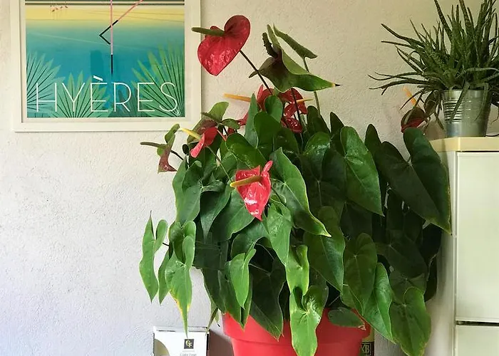 Bed & Breakfast Domaine De L'aufrene