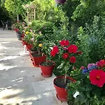 Bed & Breakfast Domaine De L'aufrene 3*
