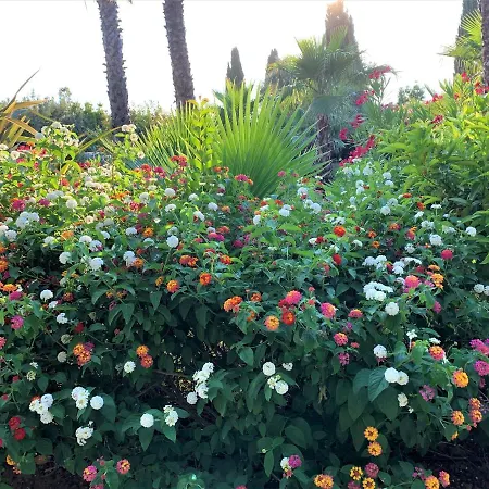 Domaine De L'aufrene 3* Hyères