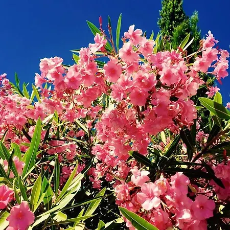 Domaine De L'aufrene Panzió 3*