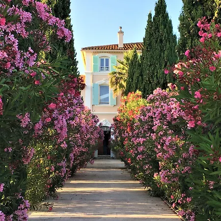 Domaine De L'aufrene Panzió