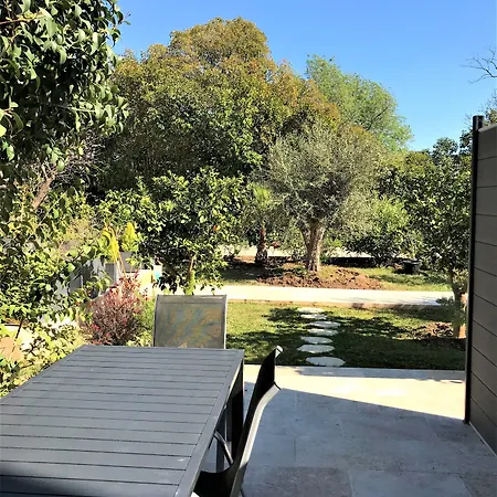 Domaine De L'aufrene Bed & Breakfast