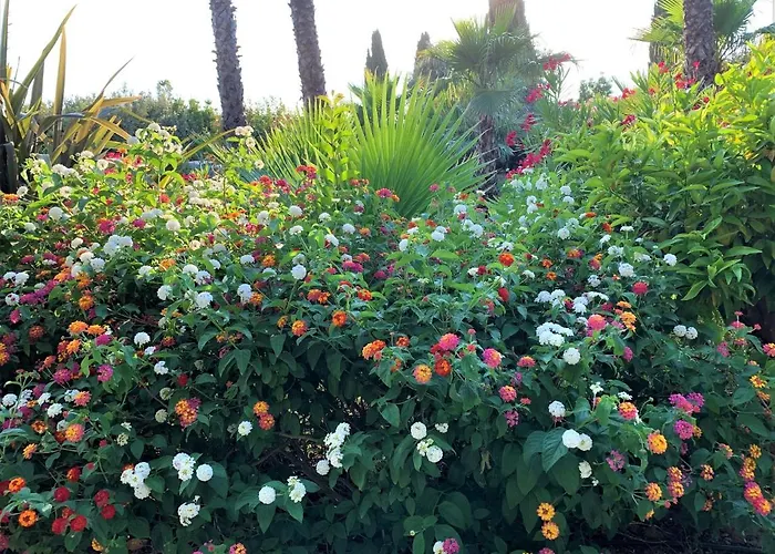 Domaine De L'aufrene 3* הייר