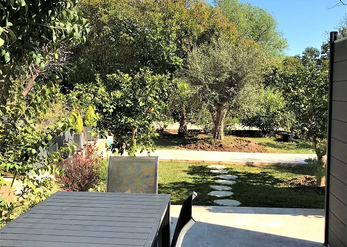 Domaine De L'aufrene לינה וארוחת בוקר