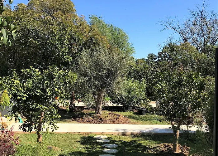 Domaine De L'aufrene לינה וארוחת בוקר