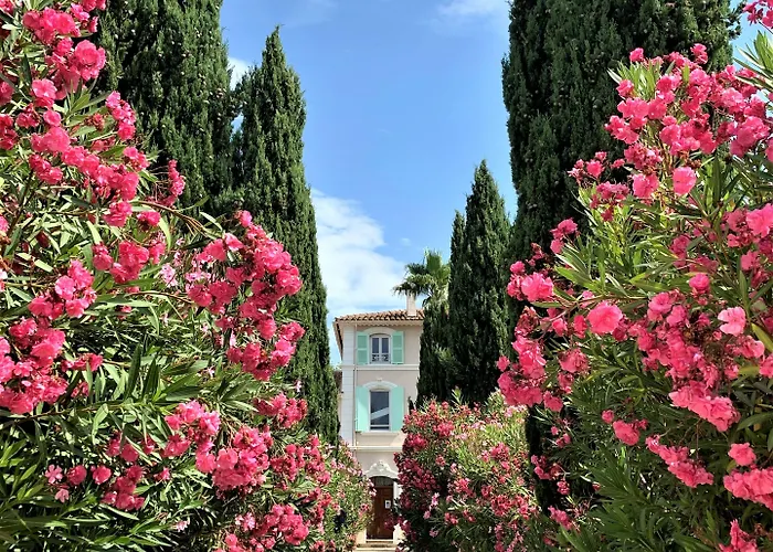 Oda ve Kahvaltı Domaine De L'aufrene Hyères