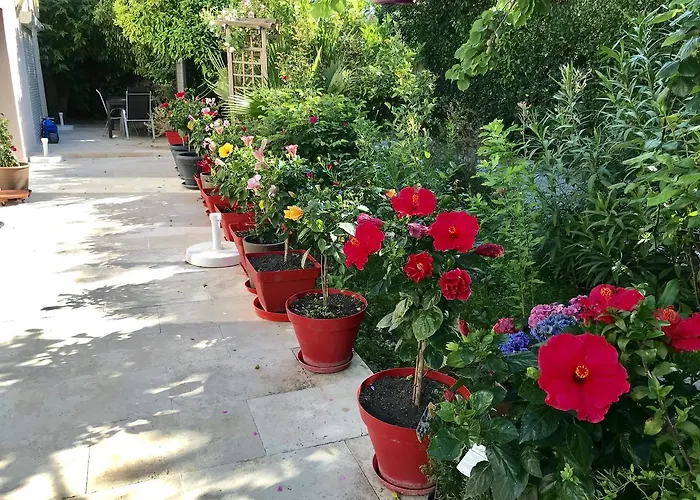 לינה וארוחת בוקר Domaine De L'aufrene 3*